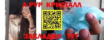 твердый Пугачёв