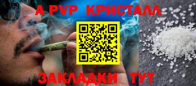 твердый Пугачёв