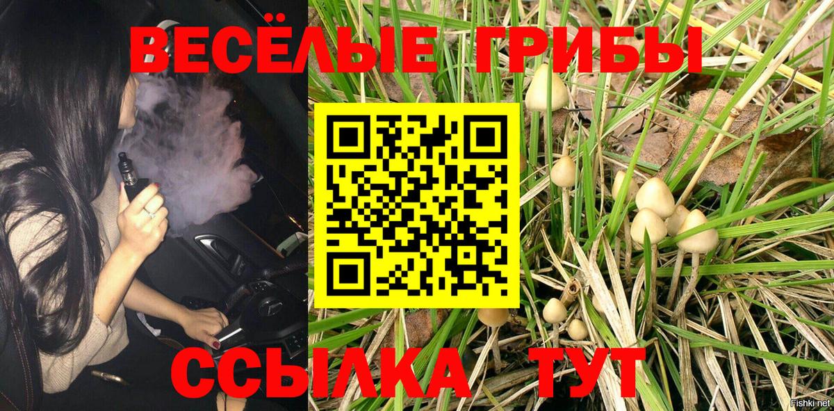 Псилоцибиновые грибы MAGIC MUSHROOMS  Вход с VPN  наркошоп  Рыбинск  Галлюциногенные грибы мухоморы 